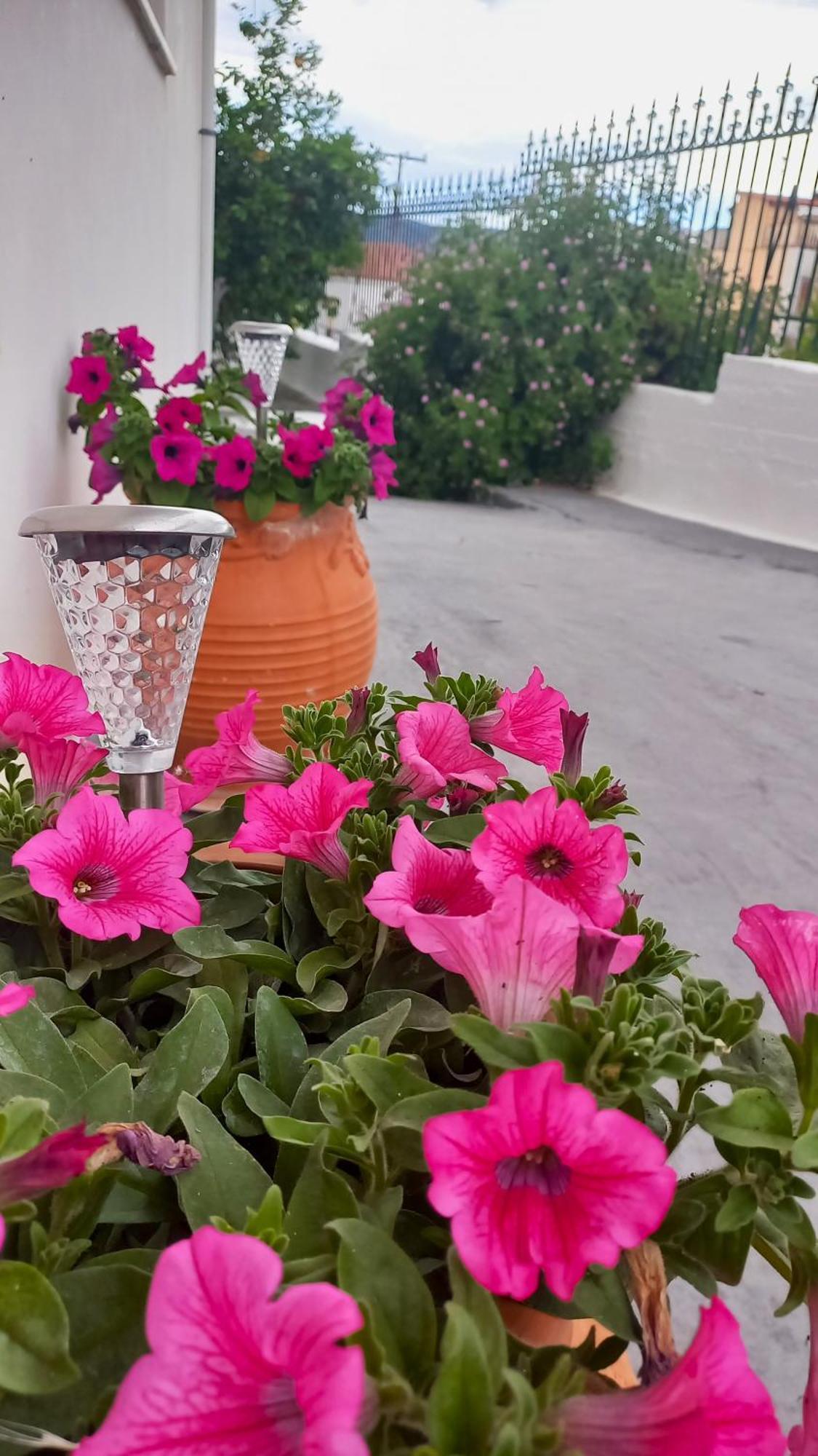 Triζin Apartment Galatás Ngoại thất bức ảnh